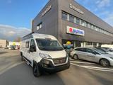 Challenger V 217 START EDITION NAVI / SOLAR / KLIMA / FAHRT - Offers matching your search criteria