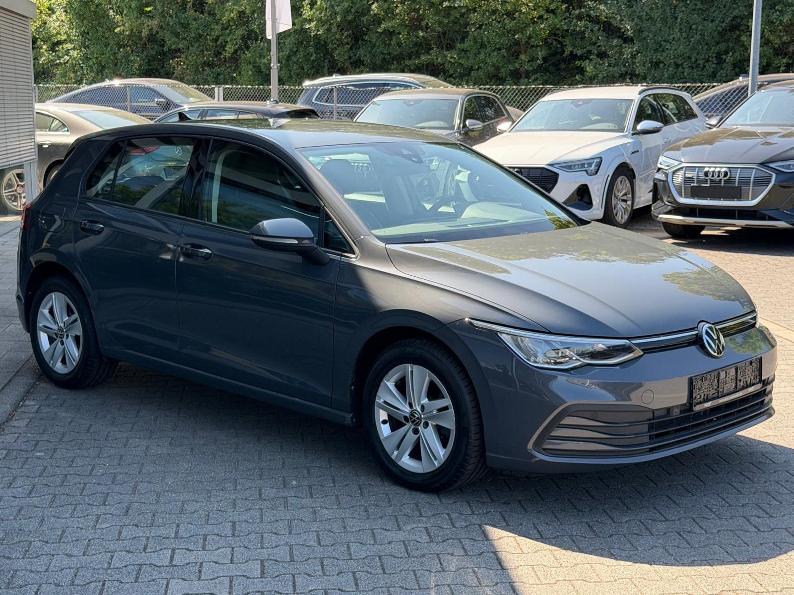 Fahrzeugabbildung Volkswagen Golf VIII 2.0d Life VIRTU+LED+NAVI+SHZ+ACC+PDC+