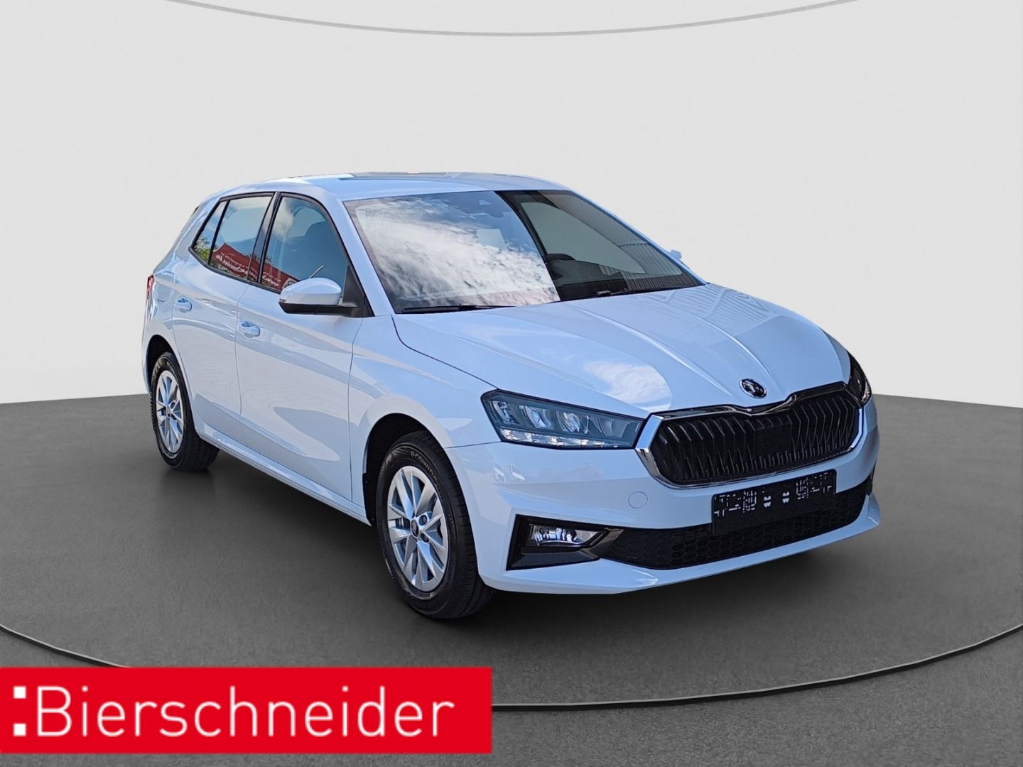Skoda Fabia 1.0 MPI Selection LED PDC RFK imagem 3