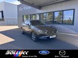 Mazda CX-30 2.0L e-SKYACTIV X 186ps 6AT AWD Takumi BLO - Mazda CX-30 mit Hybrid-Antrieb: Takumi