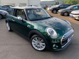 MINI COOPER Mini Cooper - MINI MINI: Grün