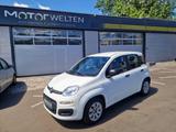 Fiat Panda Pop 1,2 8V  1.2 8V EU6 Pop (Euro 6) - Fiat Panda Gebrauchtwagen in Frankfurt