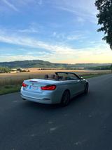 BMW 430d Cabrio / Premium Selection / H&K / NackenHz - BMW: Premium Selection