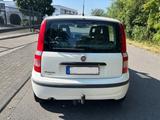 Fiat Panda 1.2 8v 69ps AHK CarPlay TOP - Fiat Panda Gebrauchtwagen in Wuppertal