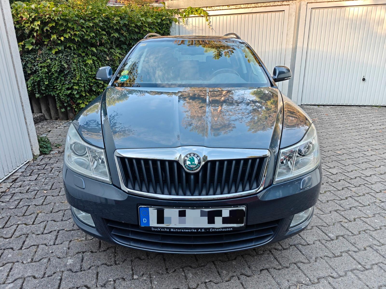 Skoda Octavia 2011 — вигляд ззаду