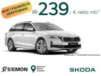 Skoda Octavia - Vorschau Bild 1