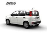 Fiat Panda Gewerbeleasing Klimaanlage Parkpilot ZV - Fiat Panda Neuwagen