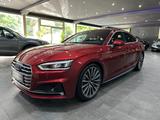 Audi A5 Sportback S-Line /MEMORY /KAMERA /ACC /MATRIX - Audi A5: Rot