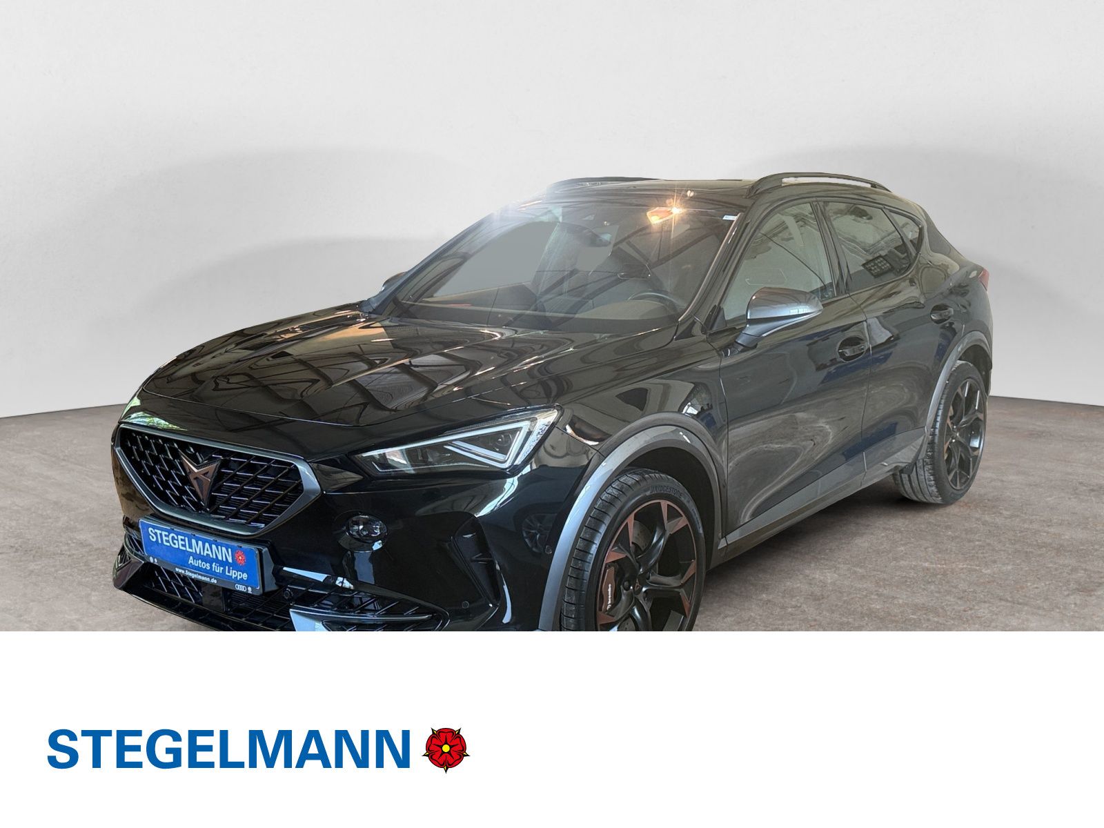 Cupra Formentor 2.0 TSI DSG 4Drive VZ *AHK*LED*Navi*Ka