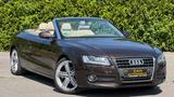 Audi A5 Cabriolet 2.0 TDI-Navi-Leder-Xenon-Sportsitze - Audi A5: Braun, Leder
