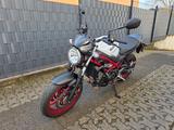 Suzuki SV 650 rot/weiß - SUZUKI 650 R