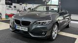 BMW 220i Cabrio Sport Line*Aut*LED*LEDER*CAM*18 Zoll - BMW Gebrauchtwagen von 2017