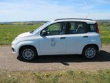 Fiat FIAT Panda, Kleinwagen, Spritsparer, Anfän... - Fiat New Panda von privat