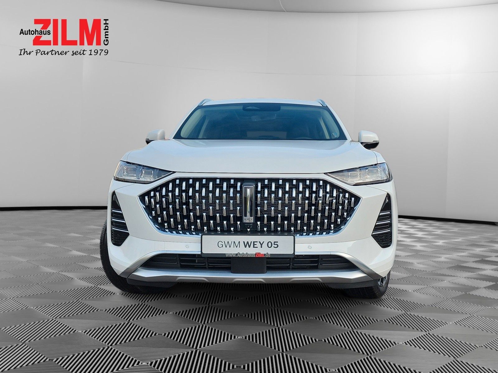 GWM Wey 05 - Bild 5