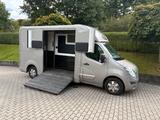 Renault Master, STX 1-2 Pferde, Automatik - Tier- & Pferdetransport für 2 Pferde