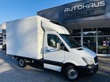 Mercedes-Benz Sprinter 316 CDI KÜHLER KOFFER AUTOMATIK - : Van, Koffer