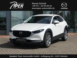 Mazda CX-30 2.5L e-SKYACTIV G 140ps 6AT FWD Centre-lin - Mazda CX-30 Tageszulassungen