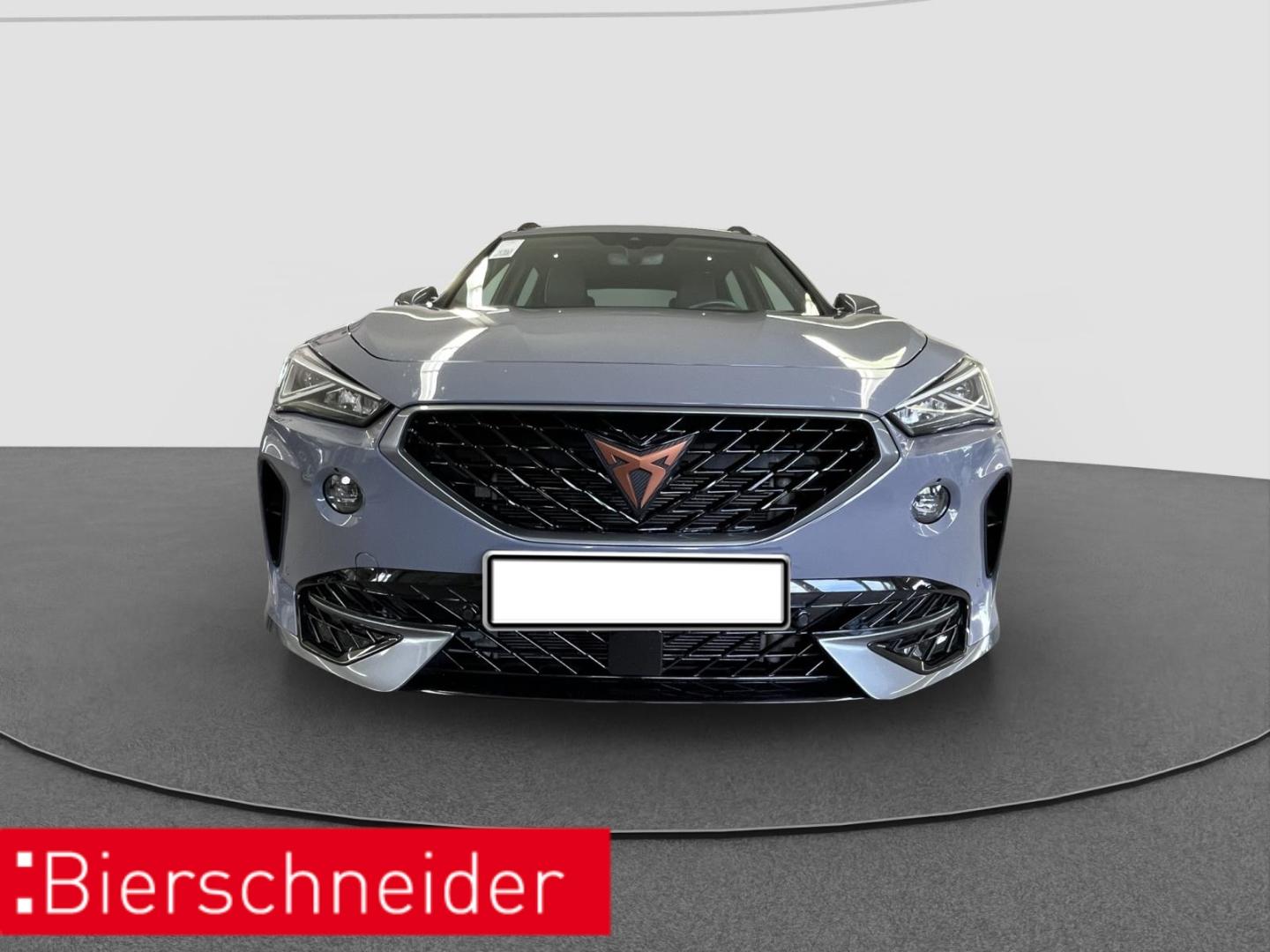 Cupra Formentor 2.0 TSI DSG 4Dr AHK PANO NAVI REAR VIE
