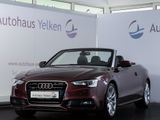 Audi A5 2.0 TFSI S Line EXCLUSIVE*SHZ*LEDER*SPORTSITZ - Audi A5: Cabrio