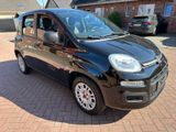 Fiat Panda 1,2 *KLIMA*EIN JAHR GARANTIE* - Fiat Panda aus 2018