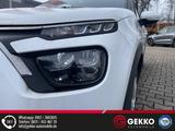 Citroën C3 YouRock +LED+APP+NAVI+SZH+Regensensor+DAB+Spr - Citroën C3: You