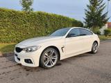 BMW 420 Gran Coupé 420d xDrive Gran Coupé M Spor...