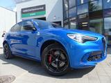 Alfa Romeo Stelvio 2.9 Bi Turbo Q4 Quadrifoglio PANO/ACC/KA