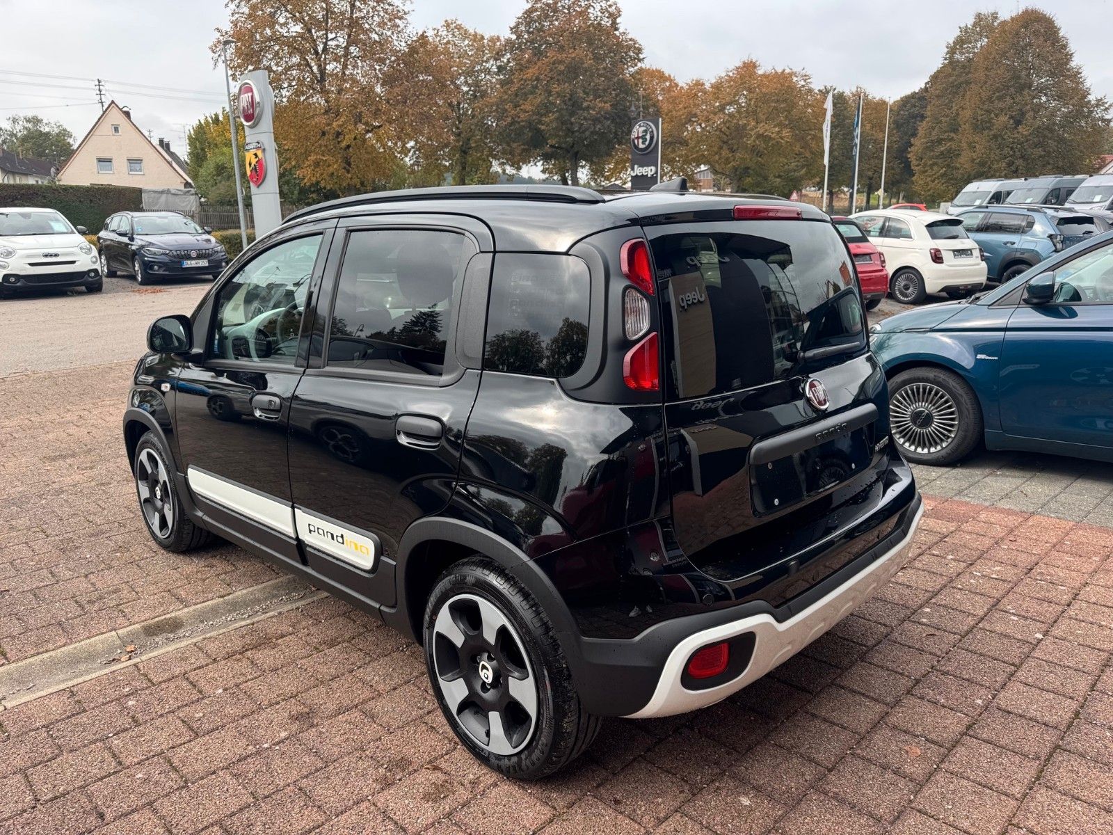 Fahrzeugabbildung Fiat Panda Pandina Cross Carplay Android Klima