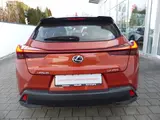 Lexus UX 200 Launch Edition Navi LED SHZ Kamera Tempom - gebrauchte Lexus SUV & Geländewagen