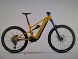 Raymon Ravor LT Comp 100Nm 840Wh GR:L - Raymon E-Bikes