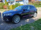 Audi Q5 40 TDI S tronic quattro sport S line - Audi Q5 mit Diesel-Antrieb: Blau, Ambiente-Beleuchtung