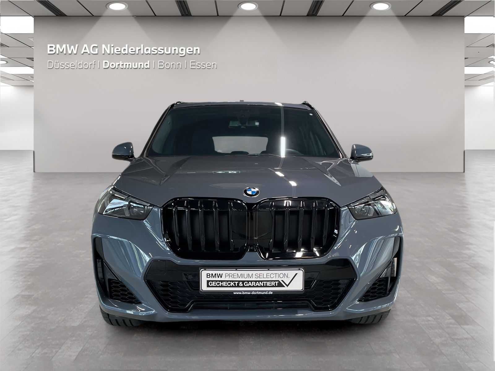 BMW X1 - Bild 8