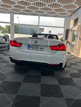 BMW 420d Cabrio M Sport  - BMW 420 von privat