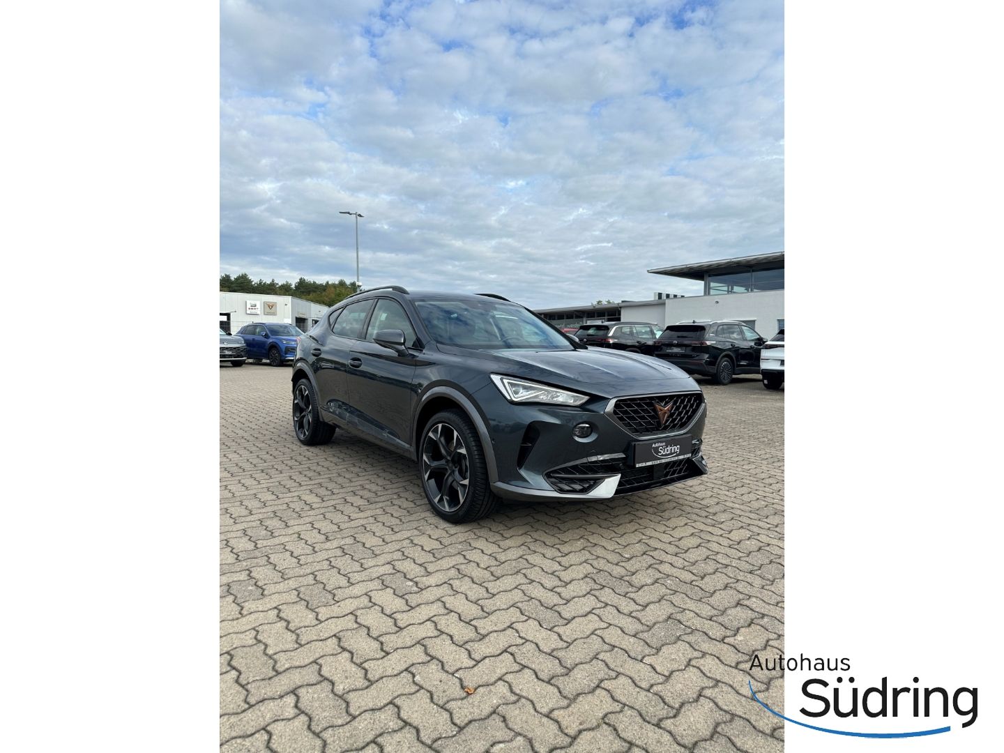 Formentor 1,5 TSI DSG AHK Navi ACC El.Heckklappe