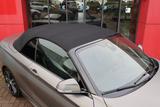 BMW 220 2-serie Cabrio 220d High Executive 2.0L 4-Ci - mit Diesel-Antrieb: Cabrio, Automatik