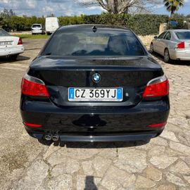 BMW 525 - 6