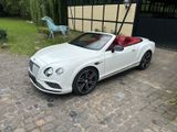 Bentley Continental GTC V8S - Bentley Continental GTC in Hannover