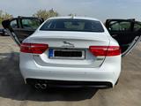Jaguar XE 20 180ps R-Sport Sehr gepflegt | Top Zustand  - Jaguar in Essen
