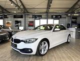 BMW 420 i Sport Line Cabrio*LED*LEDER*NAVI* - BMW 420 in Solingen