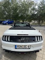 Ford Mustang 5.0 Ti-VCT V8 GT Auto GT - Ford Mustang Gebrauchtwagen in Bremen