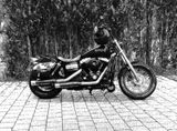 Harley-Davidson Dyna Street Bob - 2011 STREET BOB