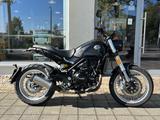 Benelli Leoncino Trail 500 /Garantie, A2 tauglich - BENELLI MOTORRAD