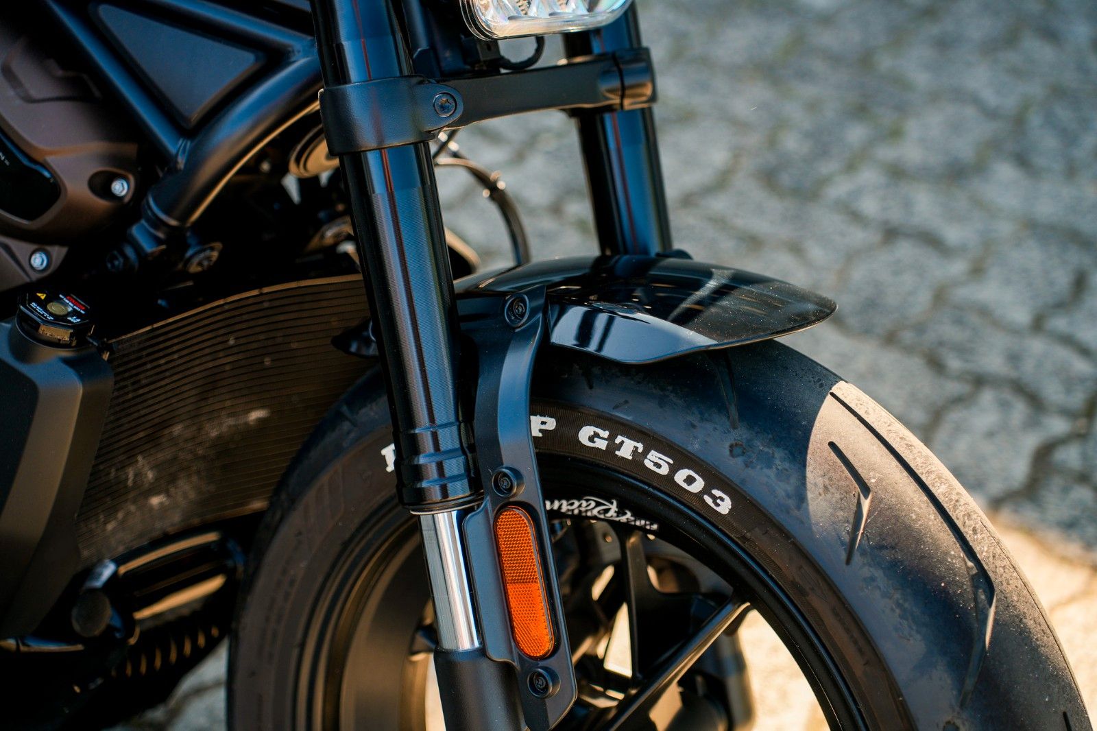 Fahrzeugabbildung Harley-Davidson Sportster S RH1250S - Jekill & Hyde-Thunderbike