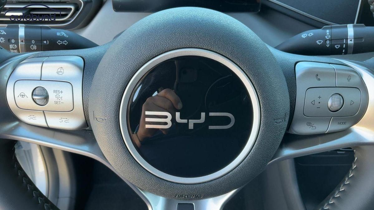 BYD DOLPHIN SURF