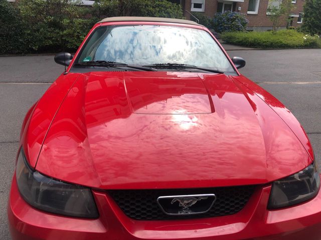 Ford Mustang Cabrio Sn95 V6  Youngtimer Op...