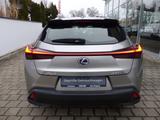 Lexus UX 250h Launch Edition Navi Kamera Velours DAB - Lexus aus 2019