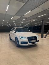 Audi SQ5 3.0 TDI Competition - Audi SQ5 in Bielefeld