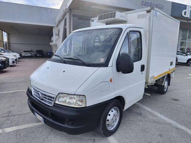 Fiat FIAT Ducato Ducato CABINATO CON CASSA FRIGO