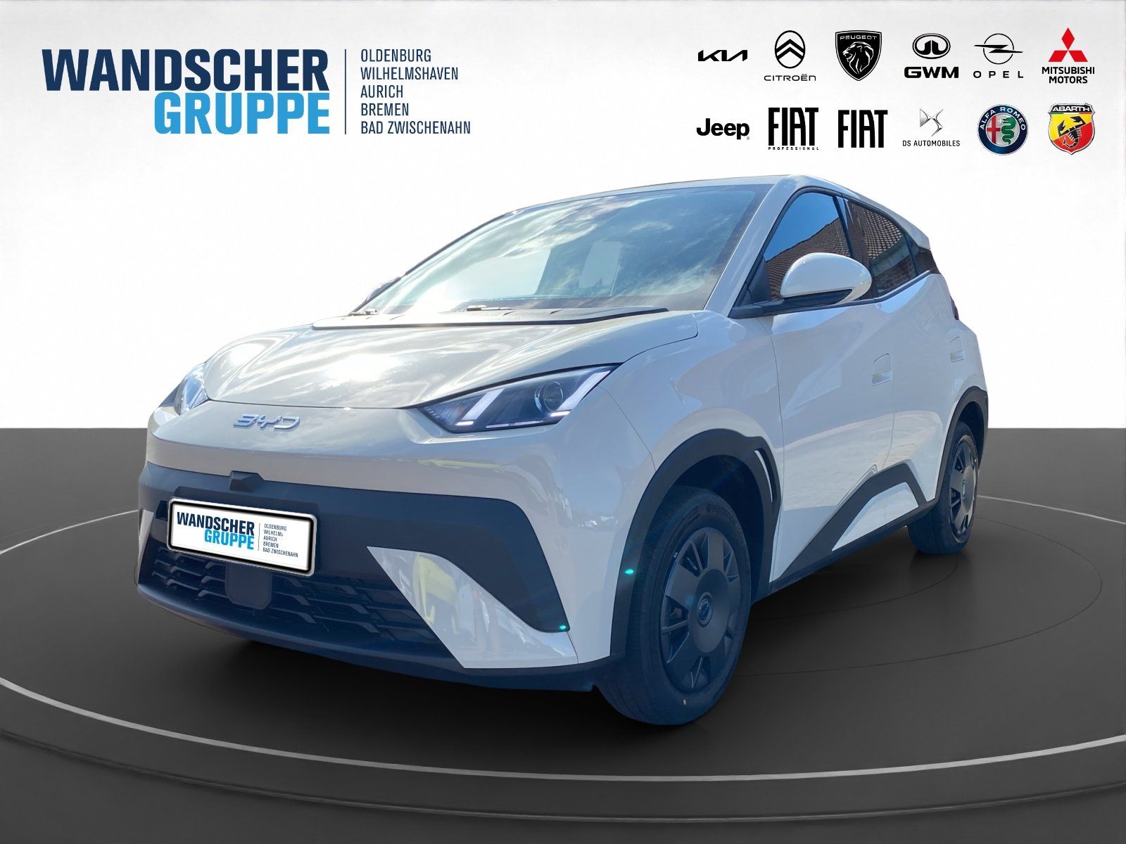 BYD DOLPHIN SURF