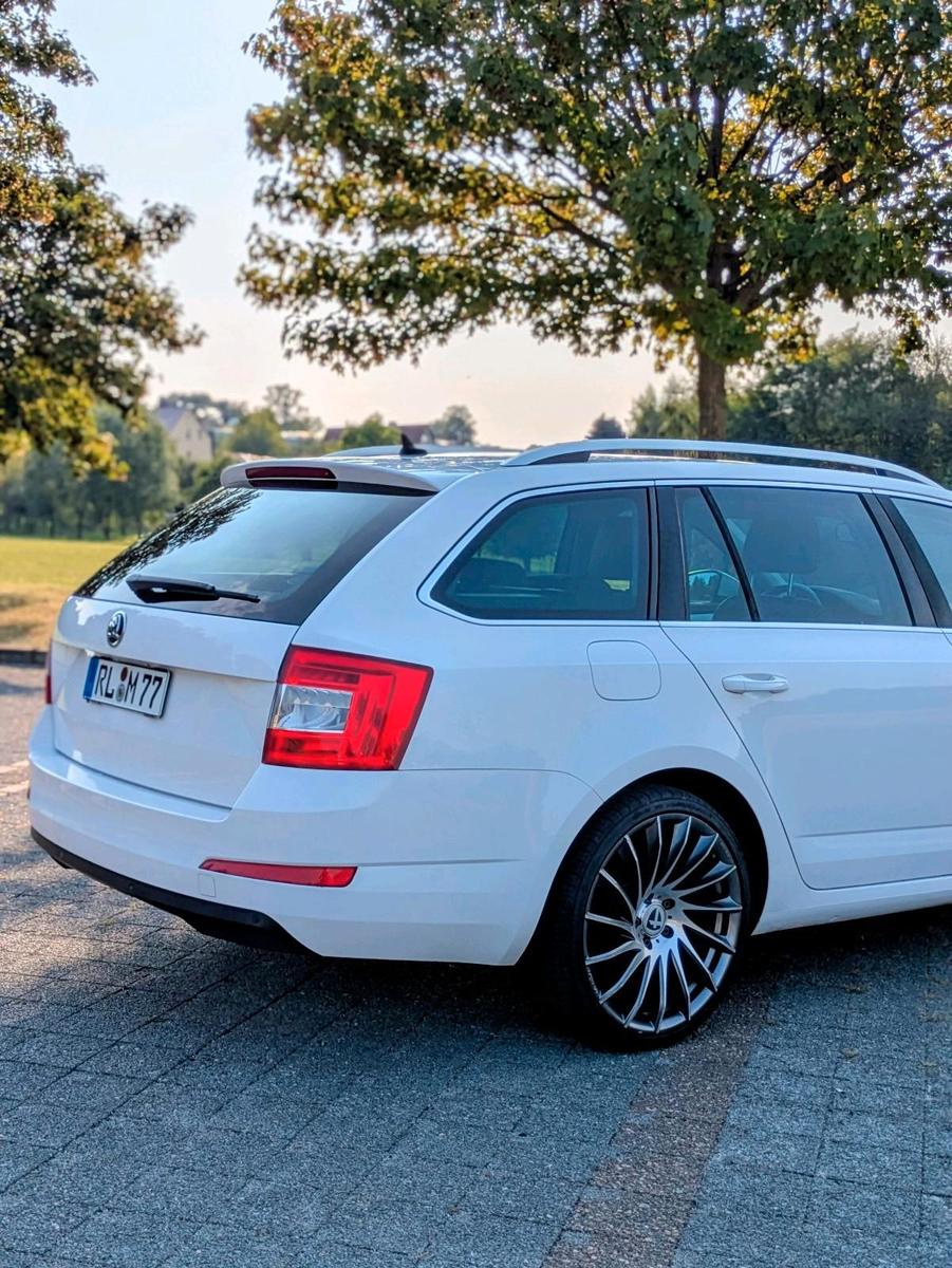 Skoda Octavia 2015 — photo 10